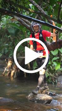 BIB:  <button type="button" onclick="openModal(27825675)" class="btn btn-primary btn-sm float-right" data-toggle="modal" data-target=".modal-high-quality">
                <i class="fa fa-download"></i> Download
                </button>